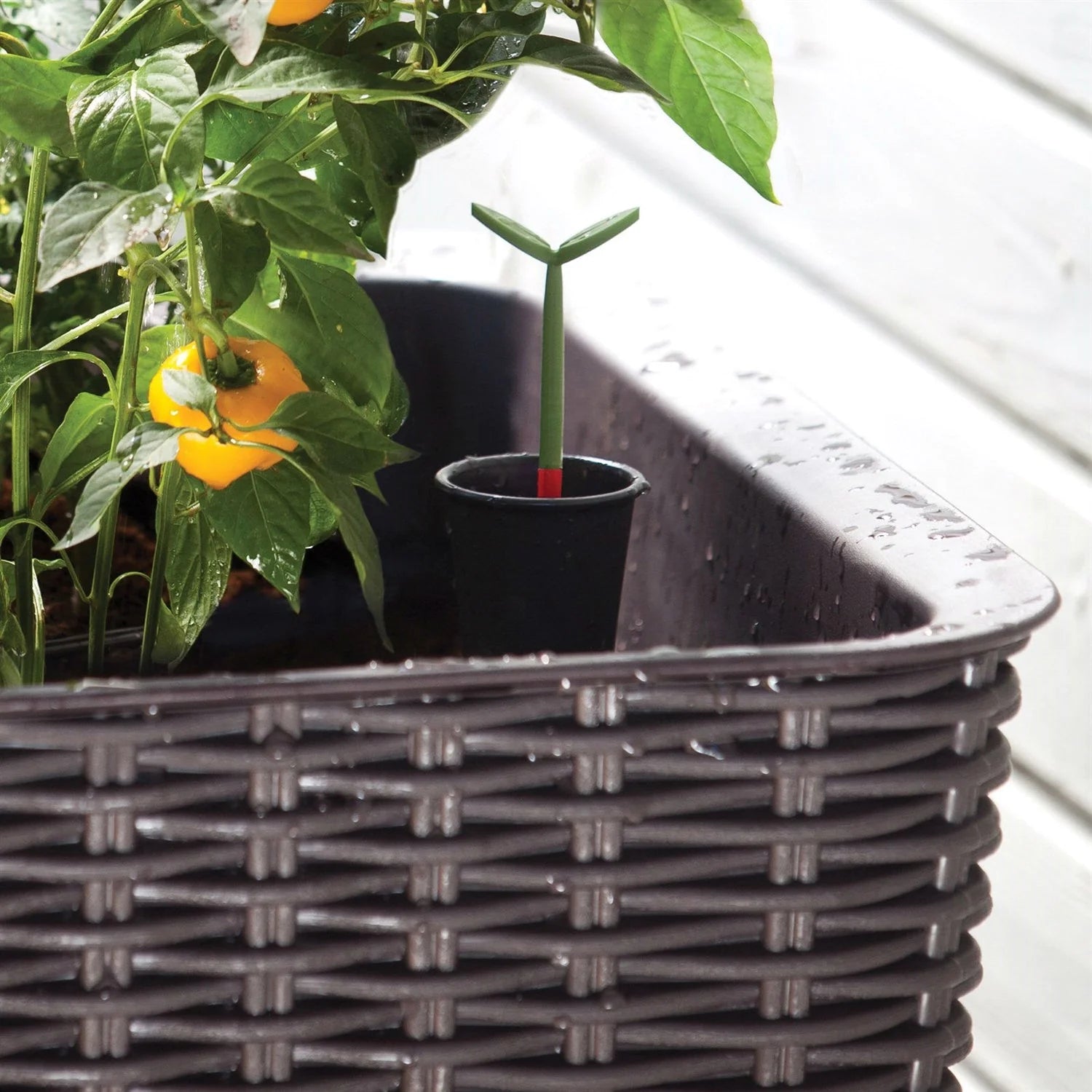 2026 Nuevo Modern Dark Brown Resin Wicker Raised Garden Bed Planter con indicador de agua